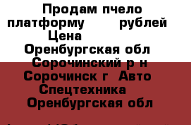 Продам пчело-платформу 50000 рублей › Цена ­ 50 000 - Оренбургская обл., Сорочинский р-н, Сорочинск г. Авто » Спецтехника   . Оренбургская обл.